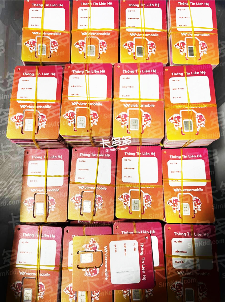 越南Vietnam【 3個月效期】